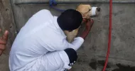 avatar petsitter