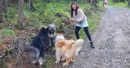 avatar petsitter