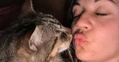 avatar petsitter