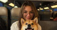 avatar petsitter
