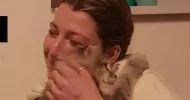 avatar petsitter