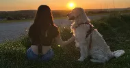 avatar petsitter
