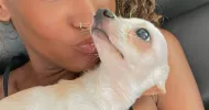 avatar petsitter