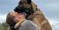 avatar petsitter