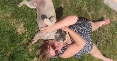 avatar petsitter