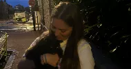avatar petsitter