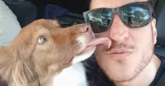 avatar petsitter