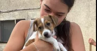 avatar petsitter