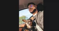 avatar petsitter
