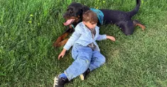 avatar petsitter