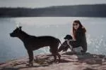 avatar petsitter