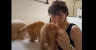 avatar petsitter