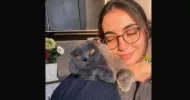 avatar petsitter