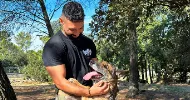 avatar petsitter