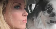 avatar petsitter