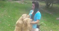 avatar petsitter