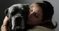 avatar petsitter