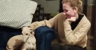 avatar petsitter