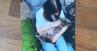 avatar petsitter
