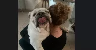 avatar petsitter