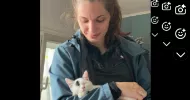 avatar petsitter