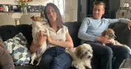 avatar petsitter