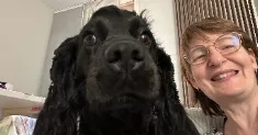 avatar petsitter
