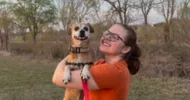 avatar petsitter