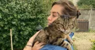 avatar petsitter