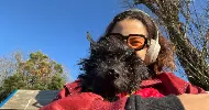 avatar petsitter