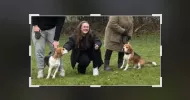 avatar petsitter