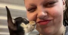 avatar petsitter