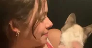 avatar petsitter