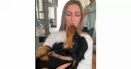 avatar petsitter