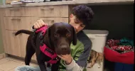 avatar petsitter