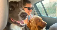 avatar petsitter