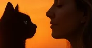 avatar petsitter