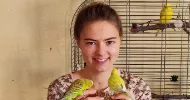 avatar petsitter