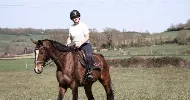 avatar petsitter