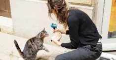 avatar petsitter