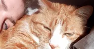 avatar petsitter