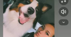 avatar petsitter