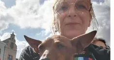 avatar petsitter