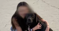 avatar petsitter
