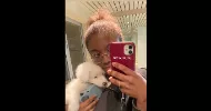 avatar petsitter