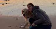 avatar petsitter