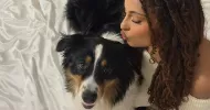 avatar petsitter