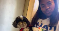 avatar petsitter