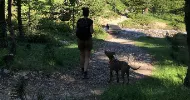 avatar petsitter