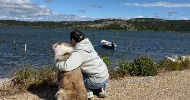 avatar petsitter
